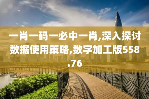 一肖一碼一必中一肖,深入探討數(shù)據(jù)使用策略,數(shù)字加工版558.76