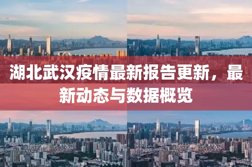 湖北武漢疫情最新報(bào)告更新，最新動(dòng)態(tài)與數(shù)據(jù)概覽