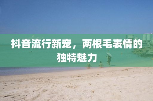 抖音流行新寵，兩根毛表情的獨(dú)特魅力