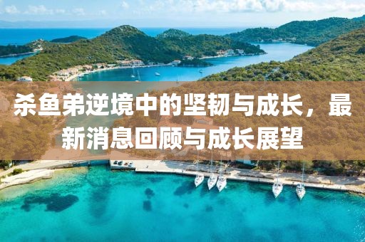 2025年5月29日 第6頁(yè)