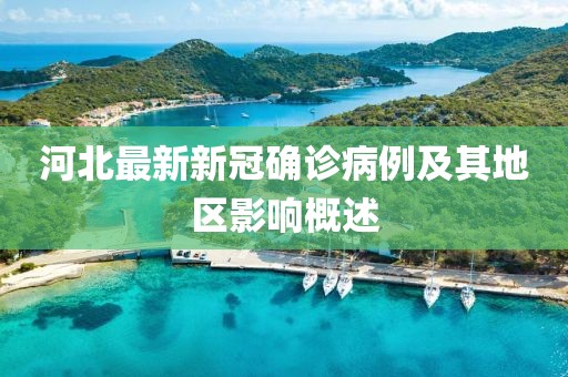 河北最新新冠確診病例及其地區(qū)影響概述