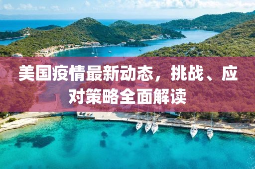 美國疫情最新動態(tài)，挑戰(zhàn)、應(yīng)對策略全面解讀