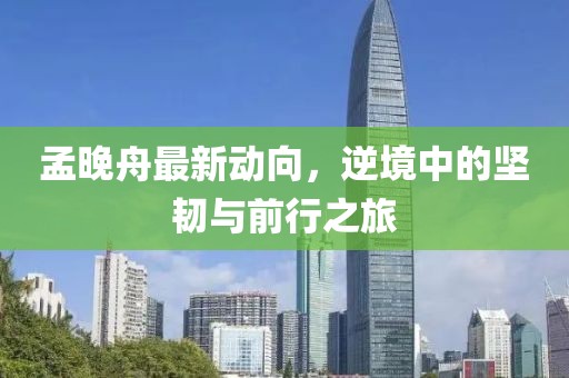 孟晚舟最新動向，逆境中的堅韌與前行之旅