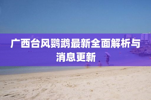 廣西臺風(fēng)鸚鵡最新全面解析與消息更新