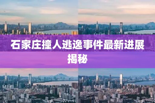 石家莊撞人逃逸事件最新進(jìn)展揭秘