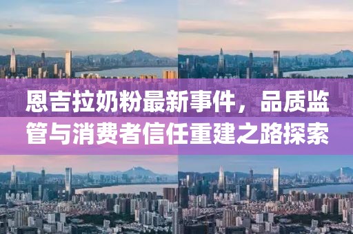 恩吉拉奶粉最新事件，品質(zhì)監(jiān)管與消費(fèi)者信任重建之路探索