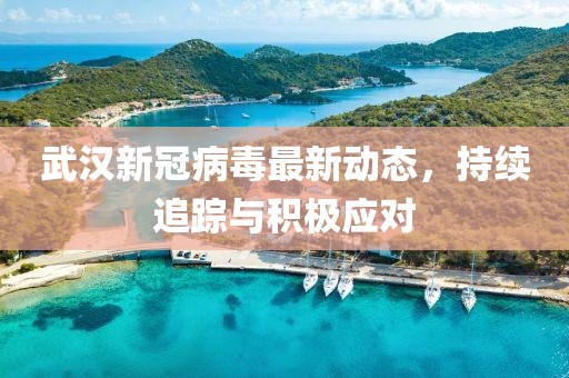 武漢新冠病毒最新動(dòng)態(tài)，持續(xù)追蹤與積極應(yīng)對(duì)