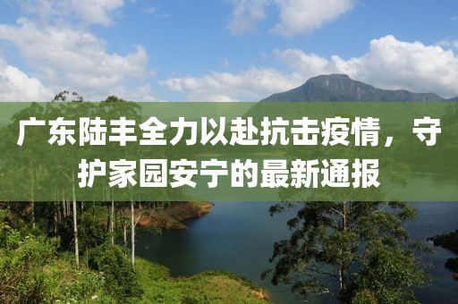 廣東陸豐全力以赴抗擊疫情，守護(hù)家園安寧的最新通報(bào)