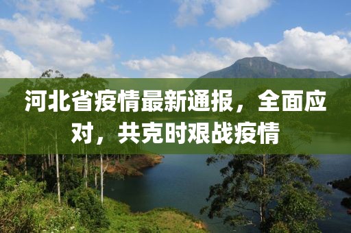 河北省疫情最新通報(bào)，全面應(yīng)對(duì)，共克時(shí)艱戰(zhàn)疫情