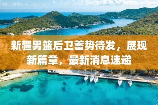 新疆男籃后衛(wèi)蓄勢待發(fā)，展現(xiàn)新篇章，最新消息速遞