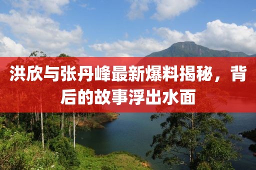 洪欣與張丹峰最新爆料揭秘，背后的故事浮出水面