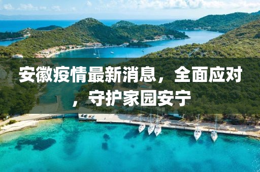 安徽疫情最新消息，全面應對，守護家園安寧
