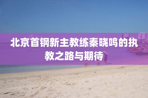 北京首鋼新主教練秦曉鳴的執(zhí)教之路與期待