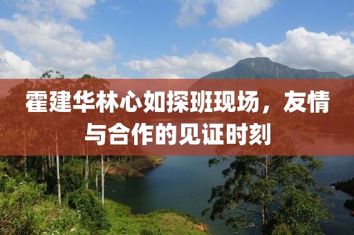 霍建華林心如探班現(xiàn)場，友情與合作的見證時刻