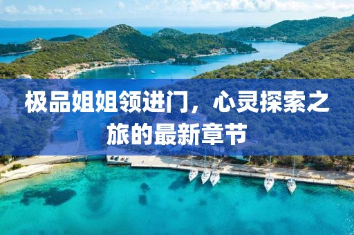 極品姐姐領(lǐng)進(jìn)門(mén)，心靈探索之旅的最新章節(jié)