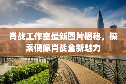肖戰(zhàn)工作室最新圖片揭秘，探索偶像肖戰(zhàn)全新魅力
