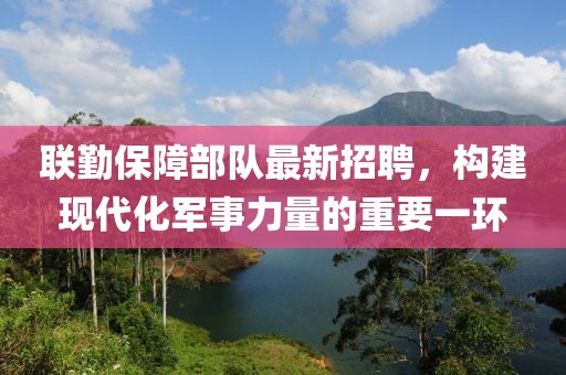聯(lián)勤保障部隊(duì)最新招聘，構(gòu)建現(xiàn)代化軍事力量的重要一環(huán)