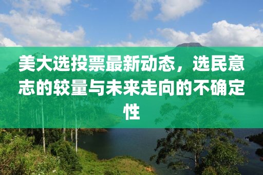 美大選投票最新動(dòng)態(tài)，選民意志的較量與未來走向的不確定性