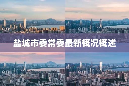 鹽城市委常委最新概況概述