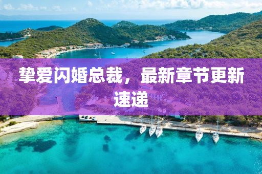 摯愛閃婚總裁，最新章節(jié)更新速遞
