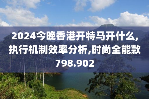 2024今晚香港開特馬開什么,執(zhí)行機(jī)制效率分析,時(shí)尚全能款798.902