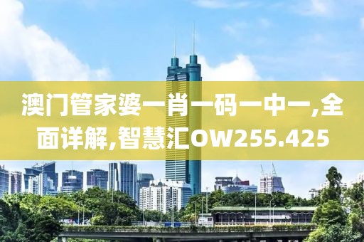 澳門管家婆一肖一碼一中一,全面詳解,智慧匯OW255.425
