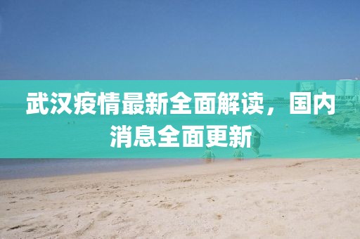 武漢疫情最新全面解讀，國內(nèi)消息全面更新