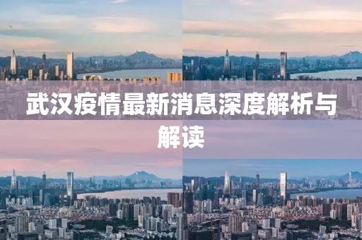武漢疫情最新消息深度解析與解讀