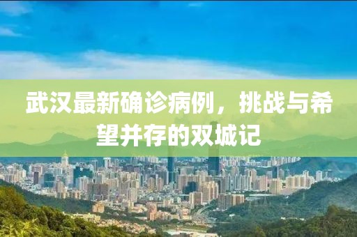 武漢最新確診病例，挑戰(zhàn)與希望并存的雙城記