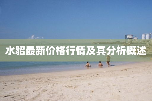 水貂最新價格行情及其分析概述