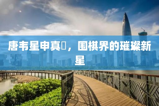 唐韋星申真谞，圍棋界的璀璨新星