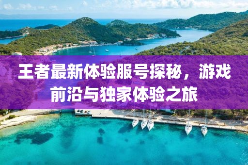 王者最新體驗(yàn)服號探秘，游戲前沿與獨(dú)家體驗(yàn)之旅
