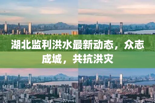 湖北監(jiān)利洪水最新動(dòng)態(tài)，眾志成城，共抗洪災(zāi)