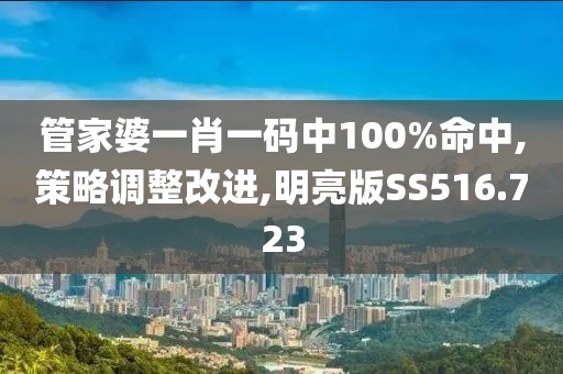 管家婆一肖一碼中100%命中,策略調(diào)整改進(jìn),明亮版SS516.723