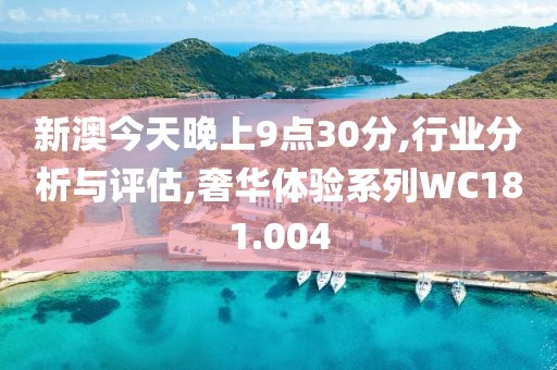 新澳今天晚上9點(diǎn)30分,行業(yè)分析與評估,奢華體驗(yàn)系列WC181.004
