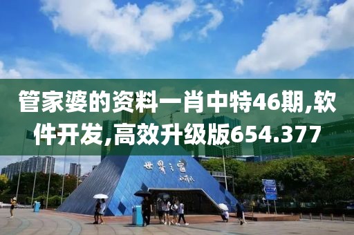 管家婆的資料一肖中特46期,軟件開發(fā),高效升級版654.377