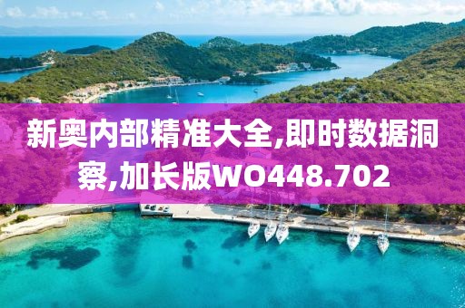 新奧內(nèi)部精準大全,即時數(shù)據(jù)洞察,加長版WO448.702