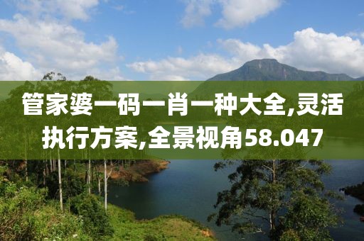 管家婆一碼一肖一種大全,靈活執(zhí)行方案,全景視角58.047