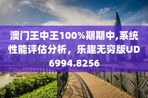 澳門王中王100%期期中,系統(tǒng)性能評估分析，樂趣無窮版UD6994.8256