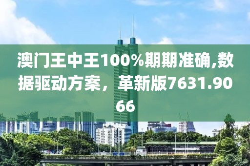 澳門王中王100%期期準(zhǔn)確,數(shù)據(jù)驅(qū)動方案，革新版7631.9066