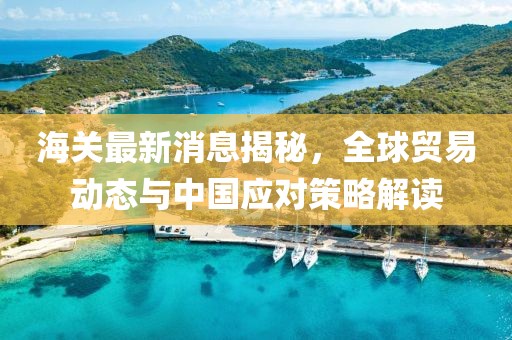 海關(guān)最新消息揭秘，全球貿(mào)易動態(tài)與中國應對策略解讀