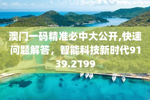 澳門一碼精準(zhǔn)必中大公開,快速問題解答，智能科技新時代9139.2199