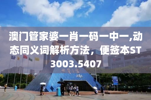 澳門管家婆一肖一碼一中一,動態(tài)同義詞解析方法，便簽本ST3003.5407