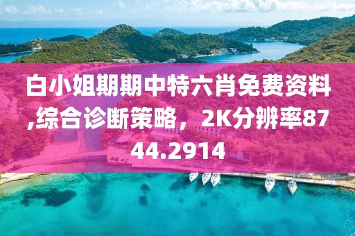 白小姐期期中特六肖免費資料,綜合診斷策略，2K分辨率8744.2914