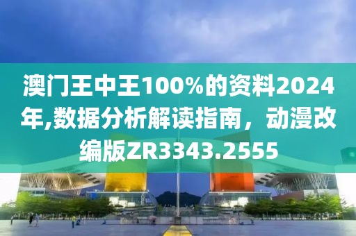 澳門王中王100%的資料2024年,數(shù)據(jù)分析解讀指南，動漫改編版ZR3343.2555