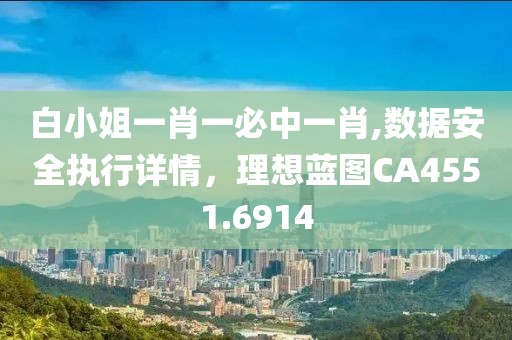 白小姐一肖一必中一肖,數據安全執(zhí)行詳情，理想藍圖CA4551.6914