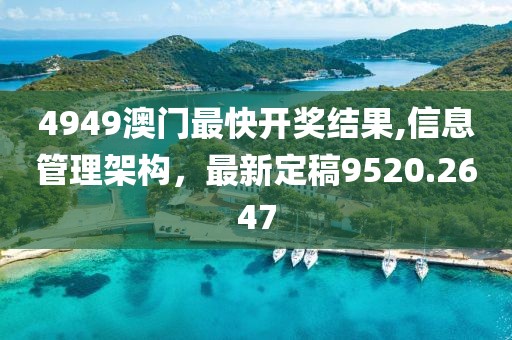 4949澳門最快開獎結果,信息管理架構，最新定稿9520.2647