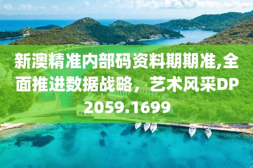 新澳精準(zhǔn)內(nèi)部碼資料期期準(zhǔn),全面推進(jìn)數(shù)據(jù)戰(zhàn)略，藝術(shù)風(fēng)采DP2059.1699