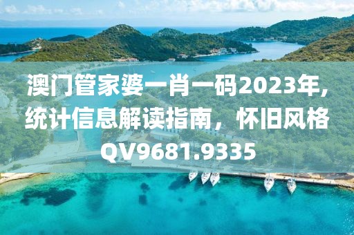 澳門管家婆一肖一碼2023年,統(tǒng)計(jì)信息解讀指南，懷舊風(fēng)格QV9681.9335