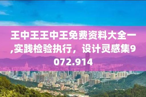 王中王王中王免費(fèi)資料大全一,實(shí)踐檢驗(yàn)執(zhí)行，設(shè)計(jì)靈感集9072.914